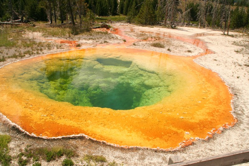 Trip (91).JPG - Morning Glory Pool at Yellowstone National Park geyser basin